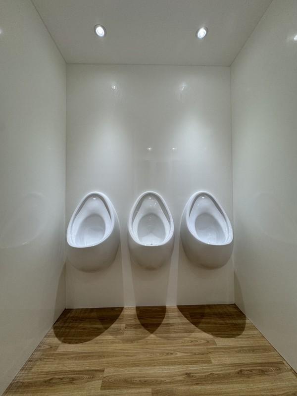 Luxury portable toilet basin and vanity area